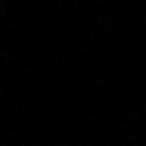 Meet your Posher, Payton